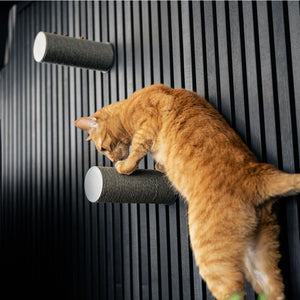 JUMPER scratching post