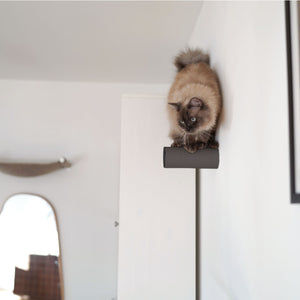 JUMPER scratching post