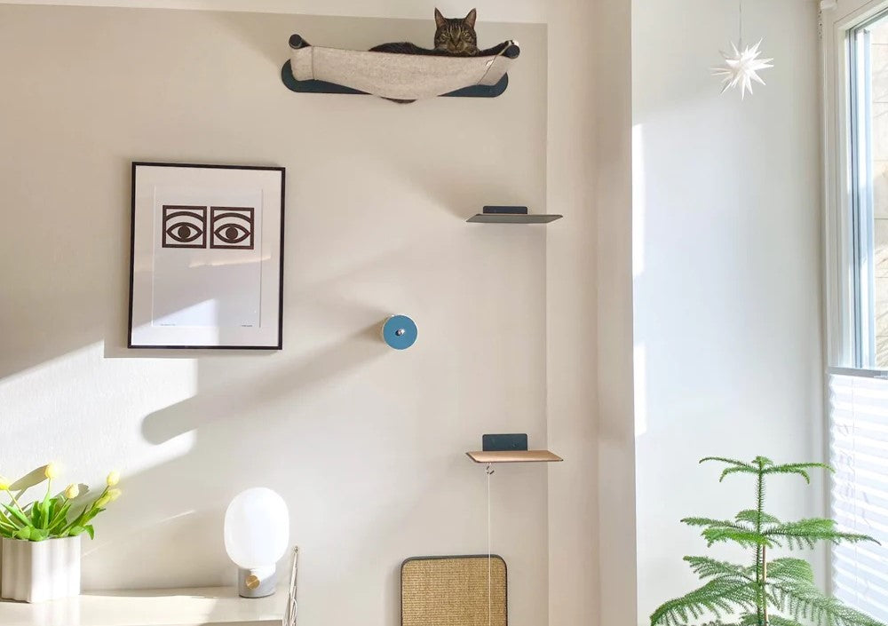 Katzen-Kletterwand mit Hängematte und Wandstufen an einer hellen Wohnzimmerwand
