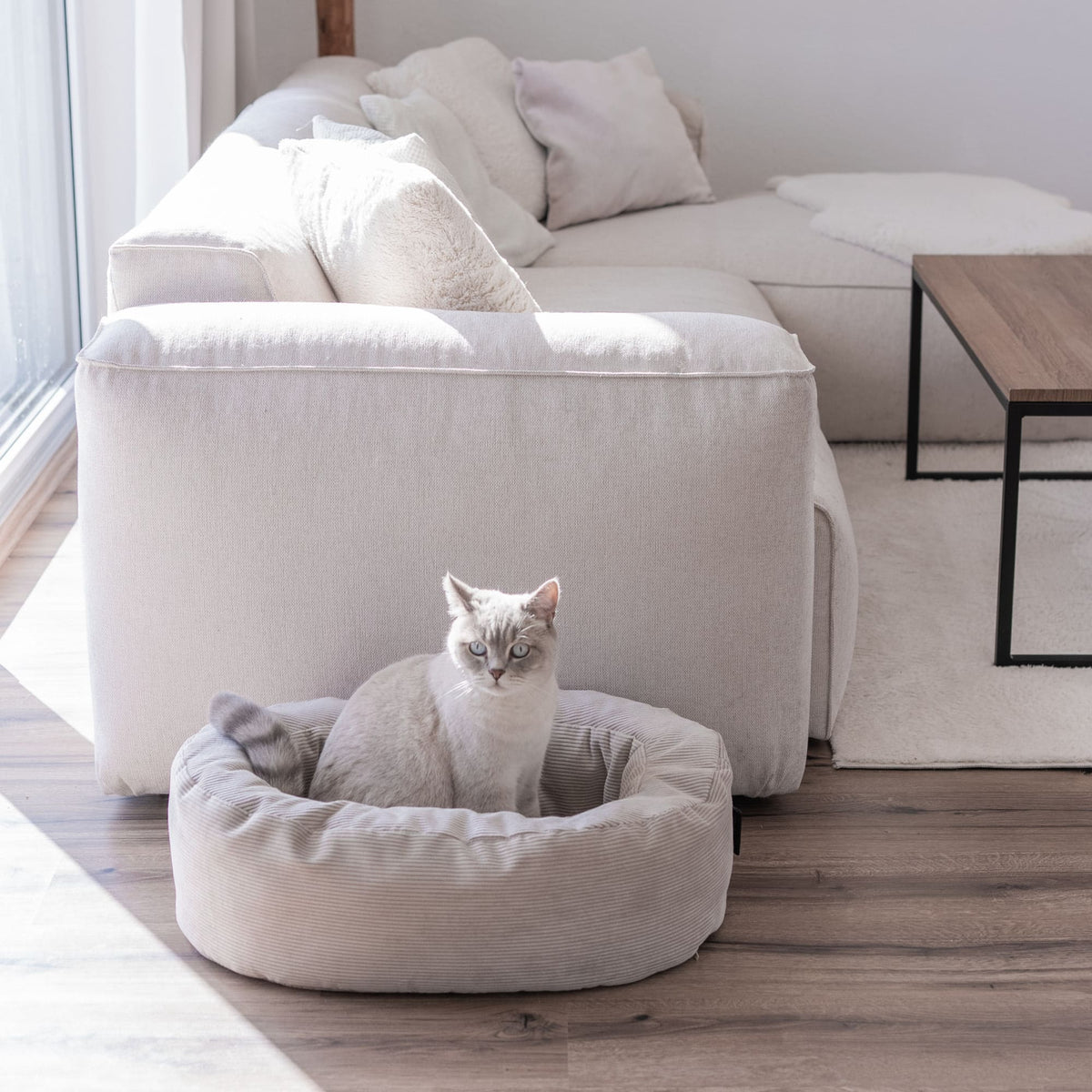 DINGHY Kattenbed