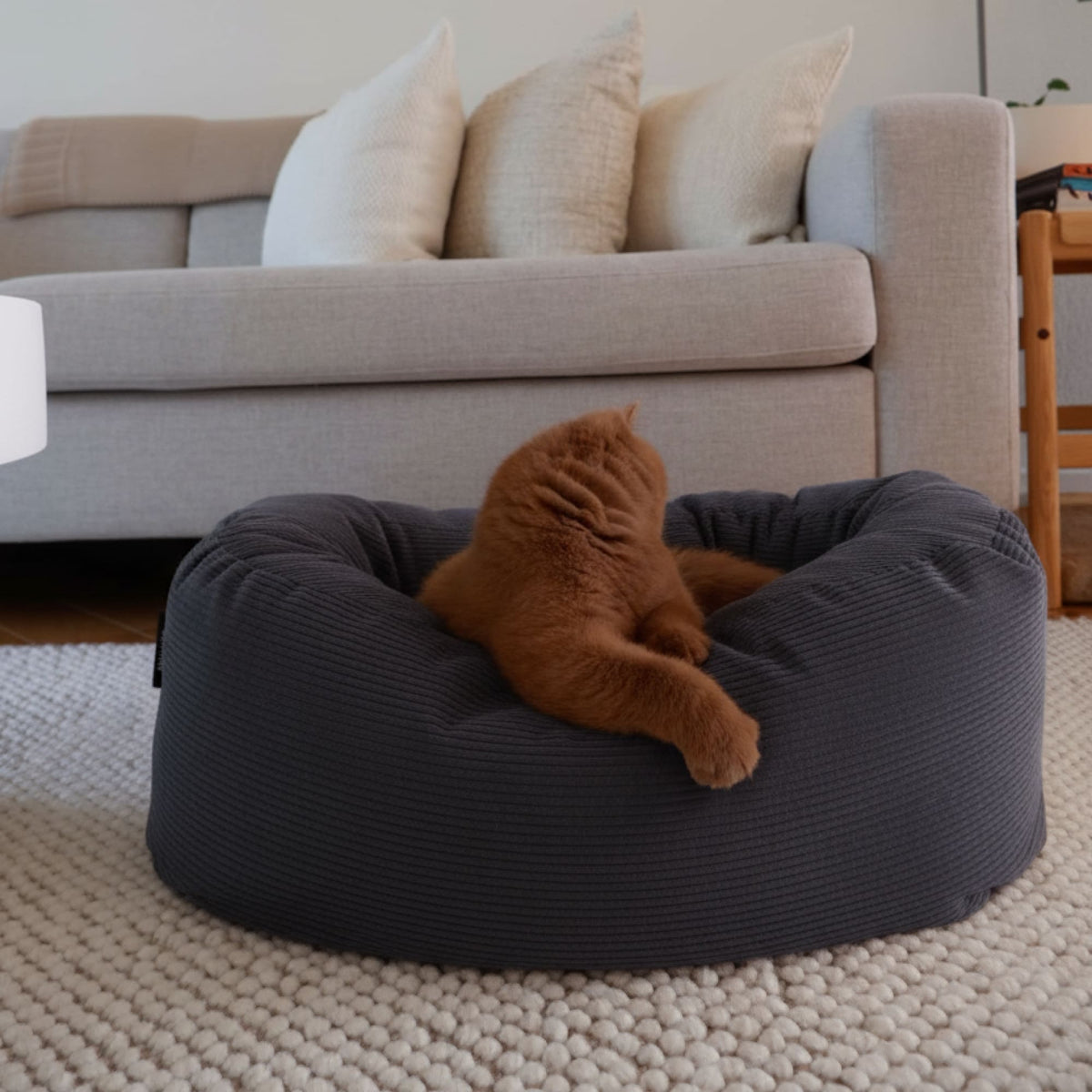 DINGHY Kattenbed