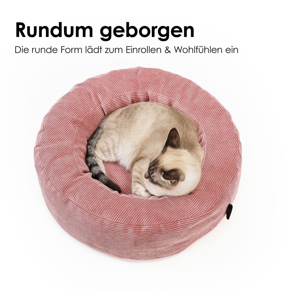 Katze eingerollt im rosa Cordbett, mit Text „Rundum geborgen – Die runde Form lädt zum Einrollen & Wohlfühlen ein
