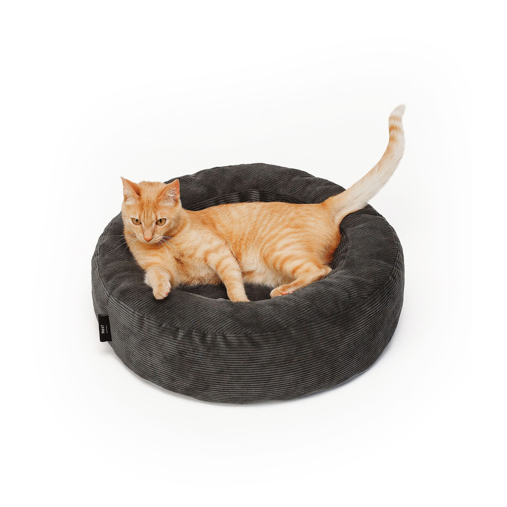 Lit pour chat NEST en anthracite, un chat tigré roux allongé à l'intérieur et regardant attentivement de côté