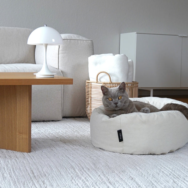 DINGHY Katzenbett in Cremeweiß, graue Katze liegt entspannt im Wohnzimmer