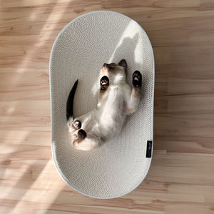 SCRATCHBED designer cardboard bed