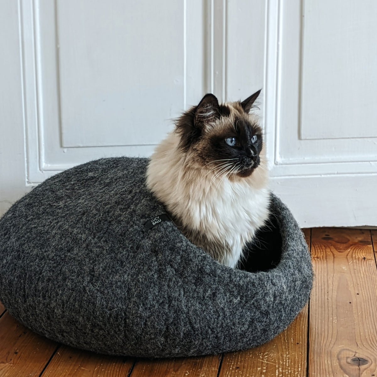 Katzenfilzhöhle im Wohnzimmer