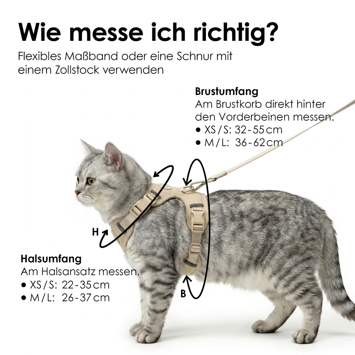 Katzengeschirr richtig messen