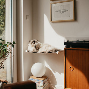 Flauschige Katze döst in einer Hängematte an der Wand, in einem lichtdurchfluteten Wohnzimmer mit Retro-Charme.