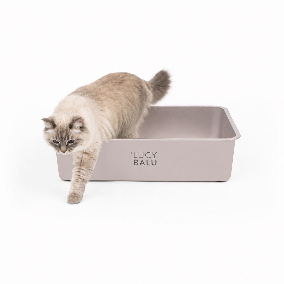 STEELOO Katzentoilette aus Edelstahl in Sand, Katze sitzt davor