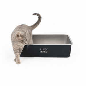STEELOO Katzentoilette aus Edelstahl in Schwarz, Katze sitzt davor