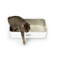 Katzenklo