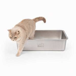 STEELOO Katzentoilette aus Edelstahl, Katze steigt hinein