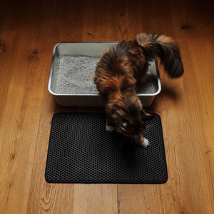 katze kommt aus dem katzenklo und läuft über katzenstreu matte