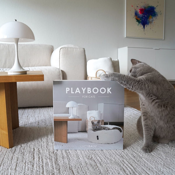 PLAYBOOK Kratzspielzeug aus Pappe im modernen Design mit runder Kratzfläche und integriertem Ball, präsentiert vor der PLAYBOOK Verpackung