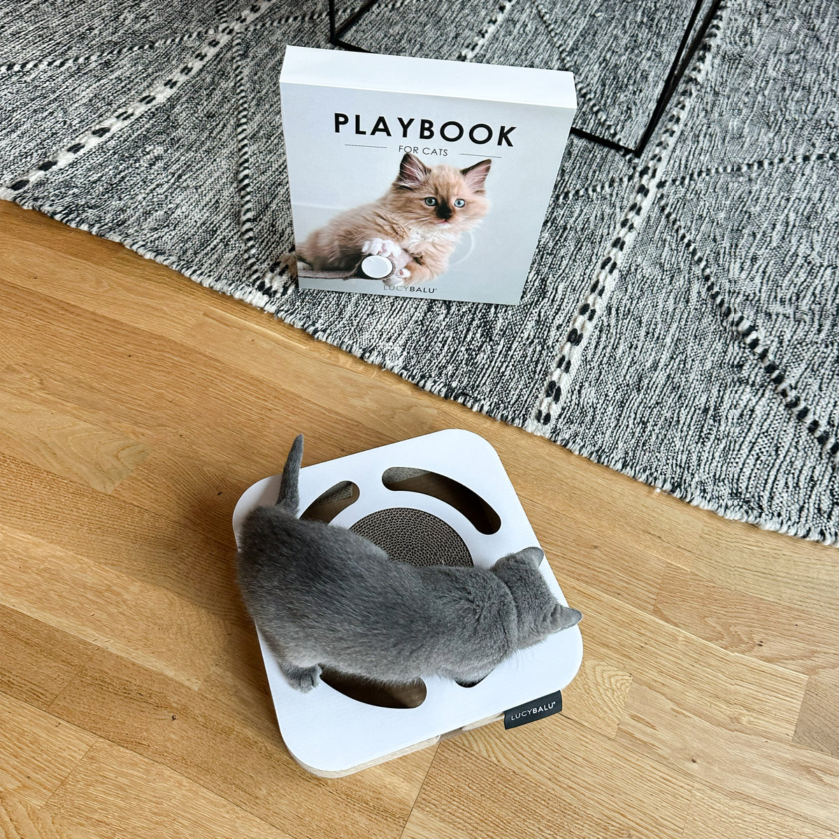 PLAYBOOK Interaktives Spielzeug