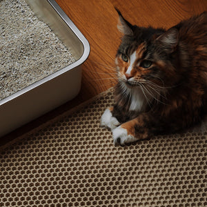 katze auf katzen streumatte loomat