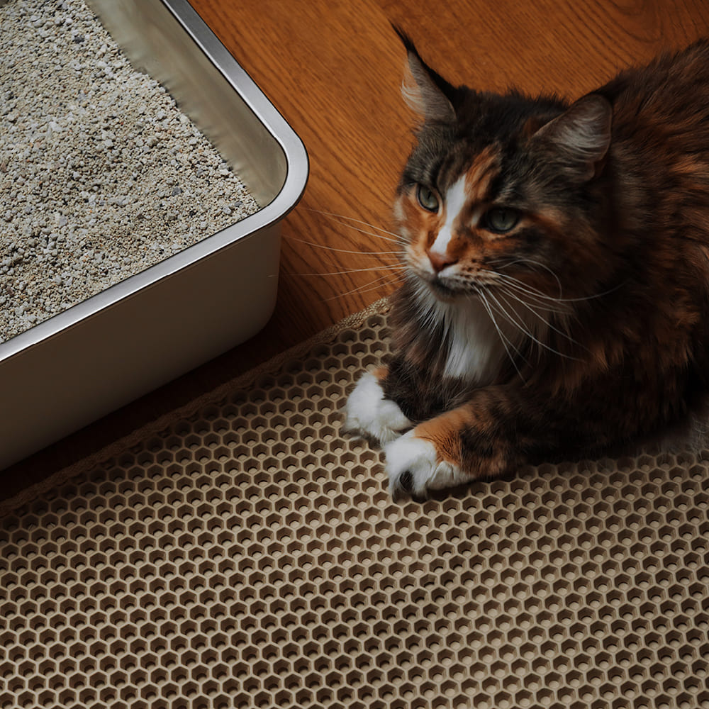 LOOMAT strooimat in zand, gestreepte kat ligt ervoor naast de kattenbak