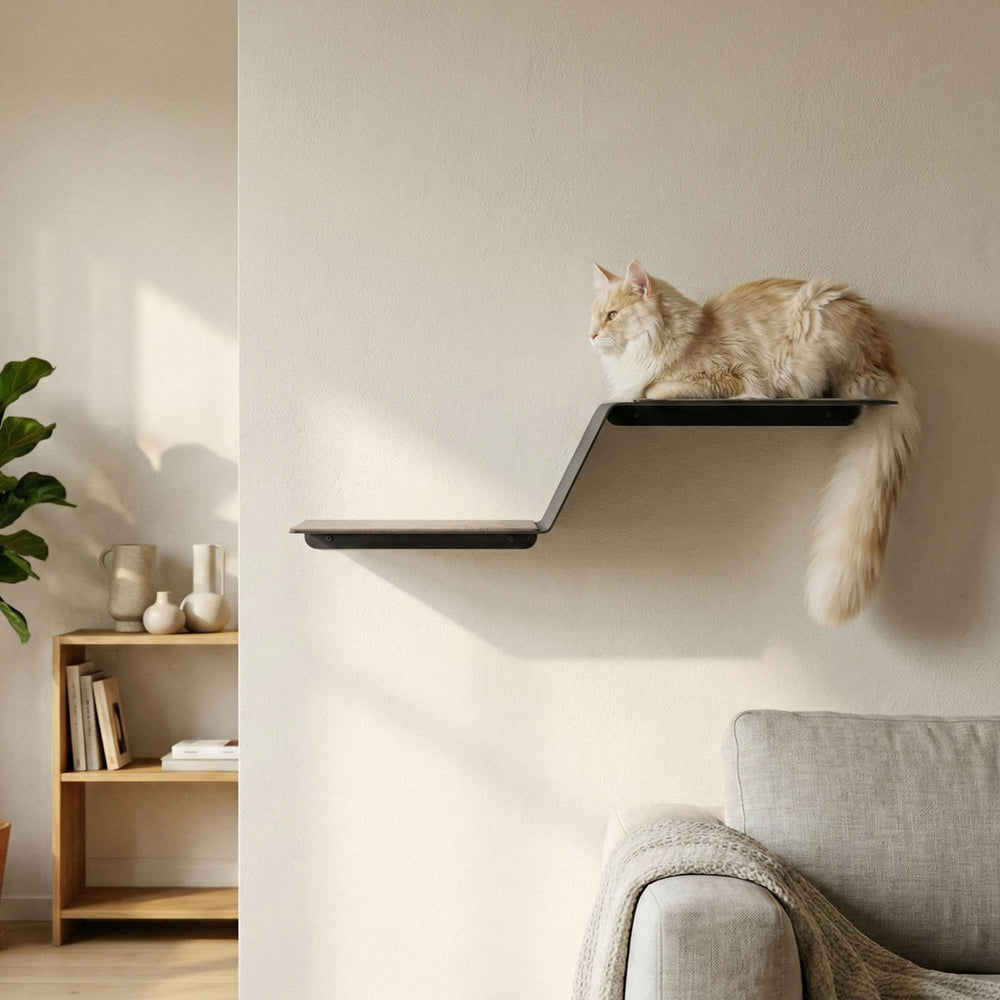 Marche pour chat WAVE murale en anthracite