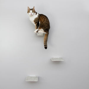 Cat wall set white - CATWALK