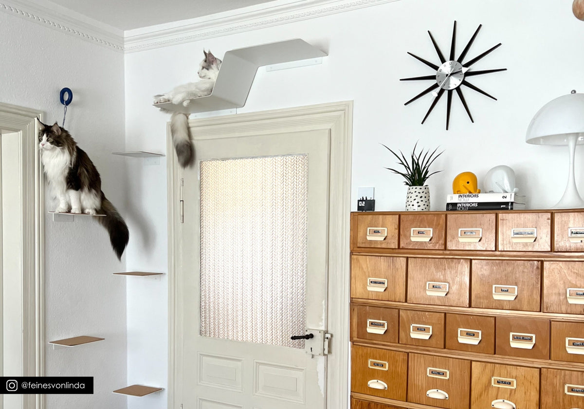 Katzentreppe aus versetzten Wandstufen als Aufstieg zur Katzenwand