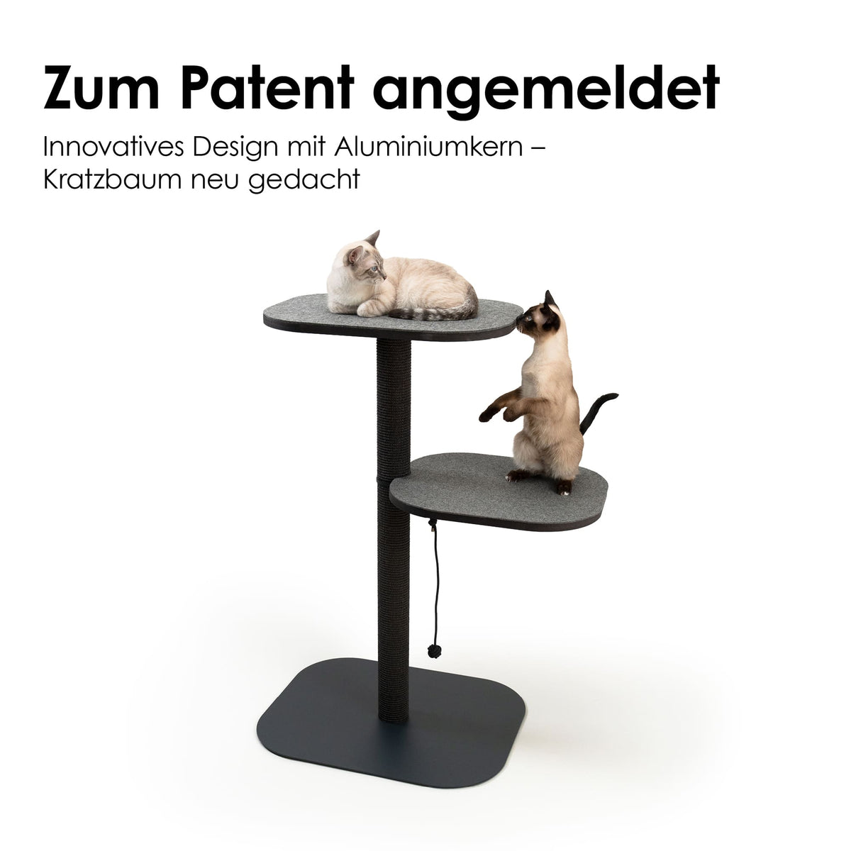 Design-Kratzbaum mit innovativem Aluminiumkern, zum Patent angemeldet, mit zwei Katzen auf dunkelgrauen Liegeflächen.