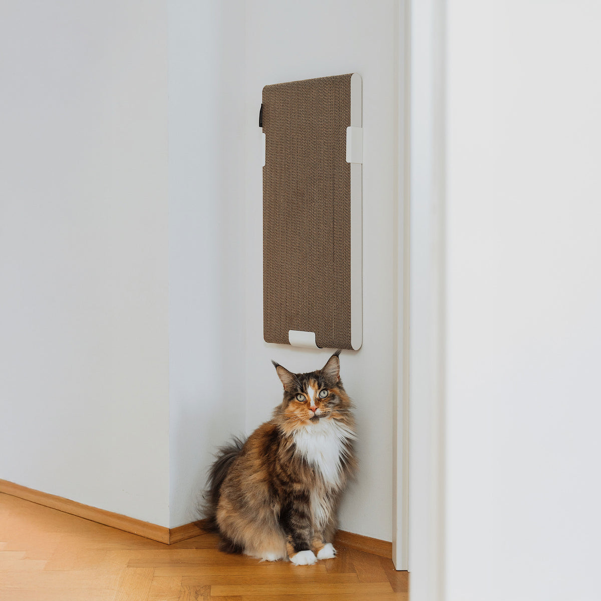 WALLPAPER Kartonnen krabplank