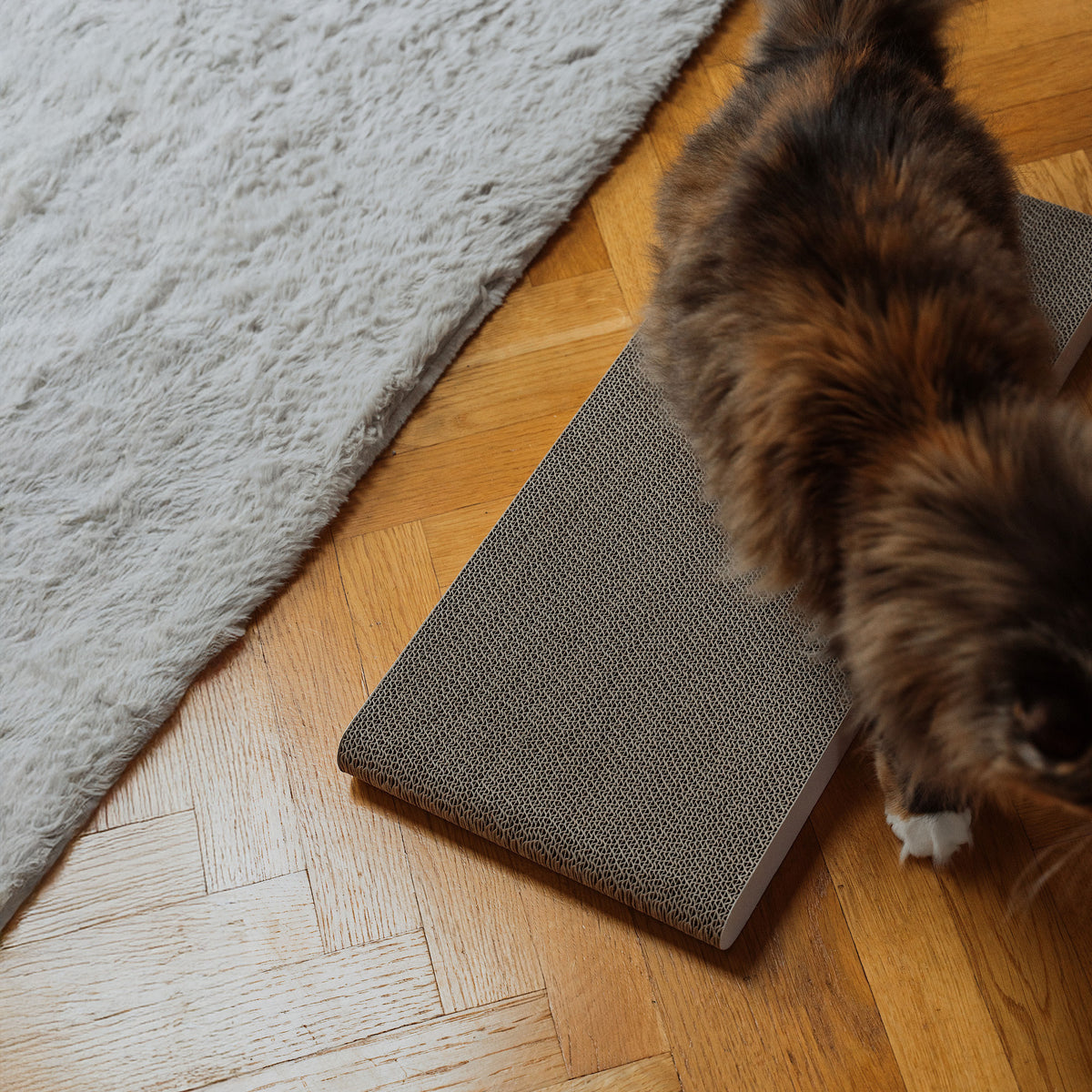 WALLPAPER Kartonnen krabplank