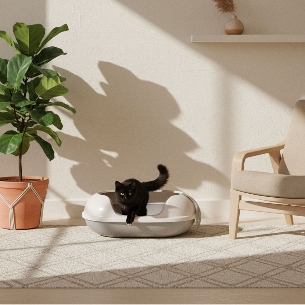Zwarte kat in de zandkleurige ARENA kattenbak in gezellige woonkamer