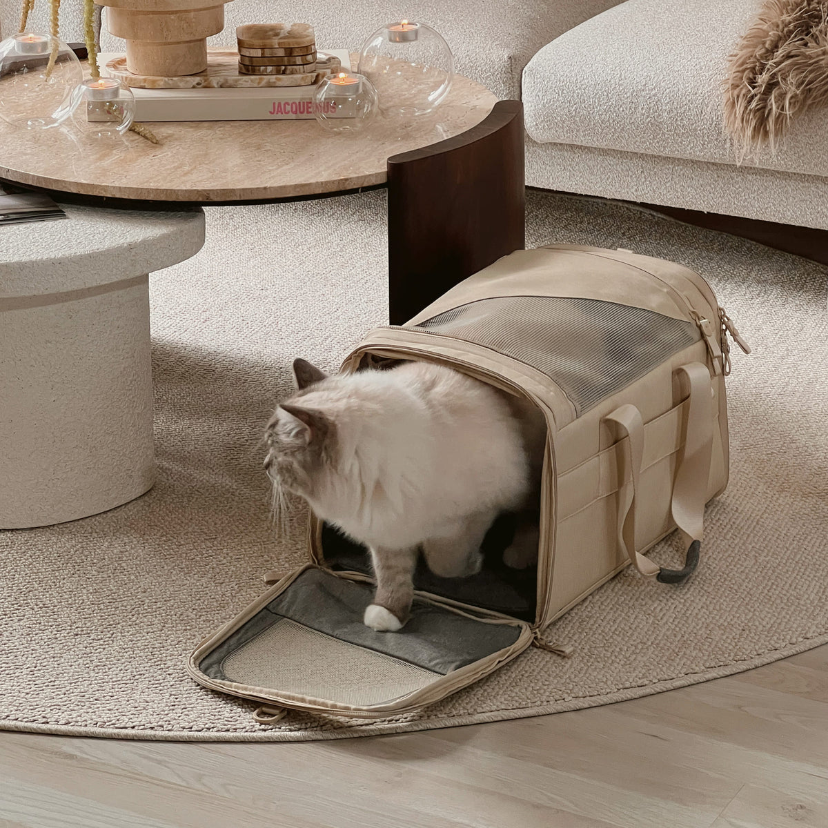 CHECK-IN Kattendraagtas