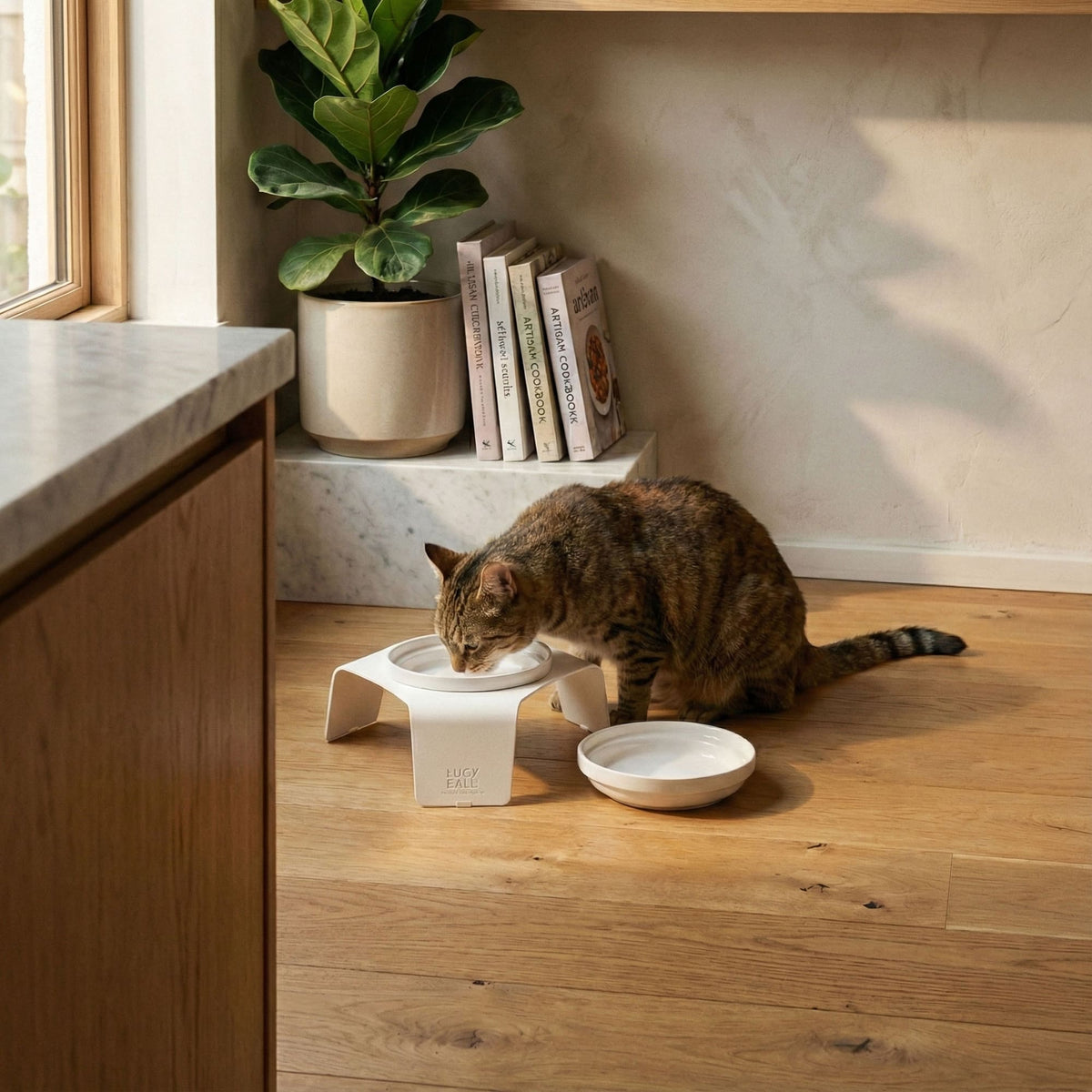 DELI Katzennapf erhöht