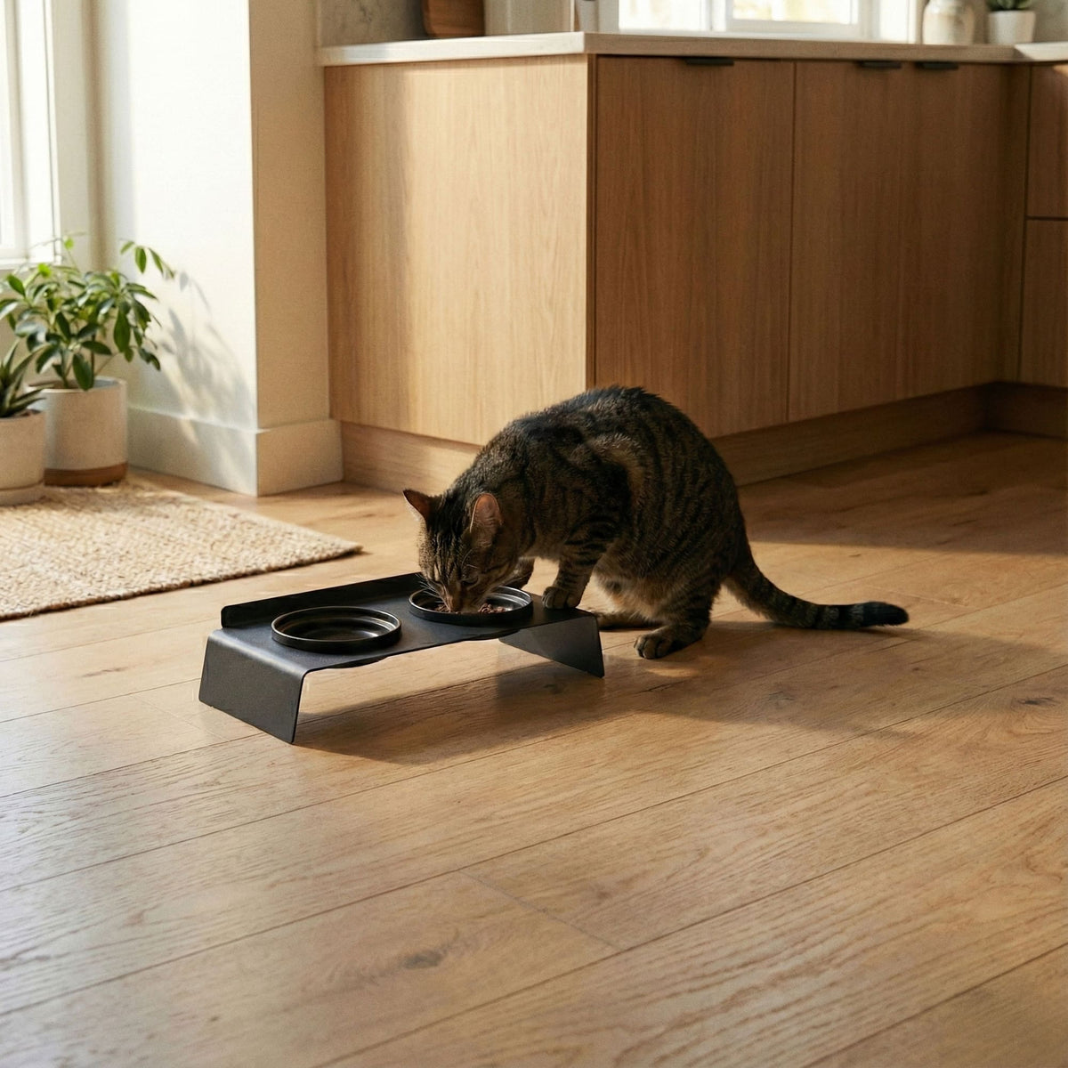 DINE Station d'alimentation