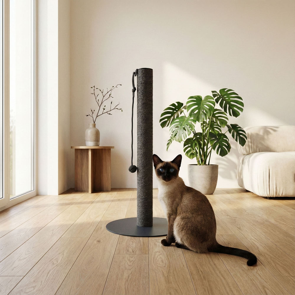 Un chat siamois assis à côté de la colonne à griffer PAPERPOLE en anthracite – salon moderne et lumineux avec un Monstera.