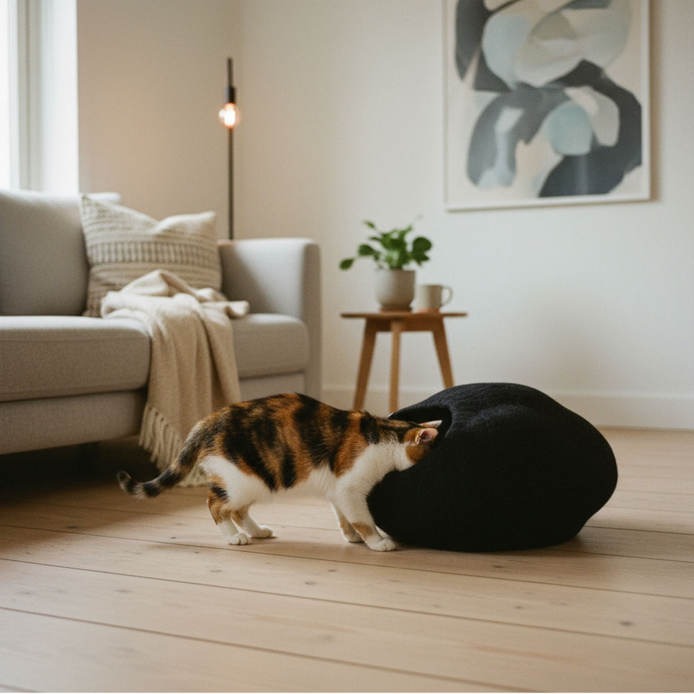 Niche pour chat PEBBLE en feutre noir dans un salon clair, un chat tricolore passe la tête à l'entrée