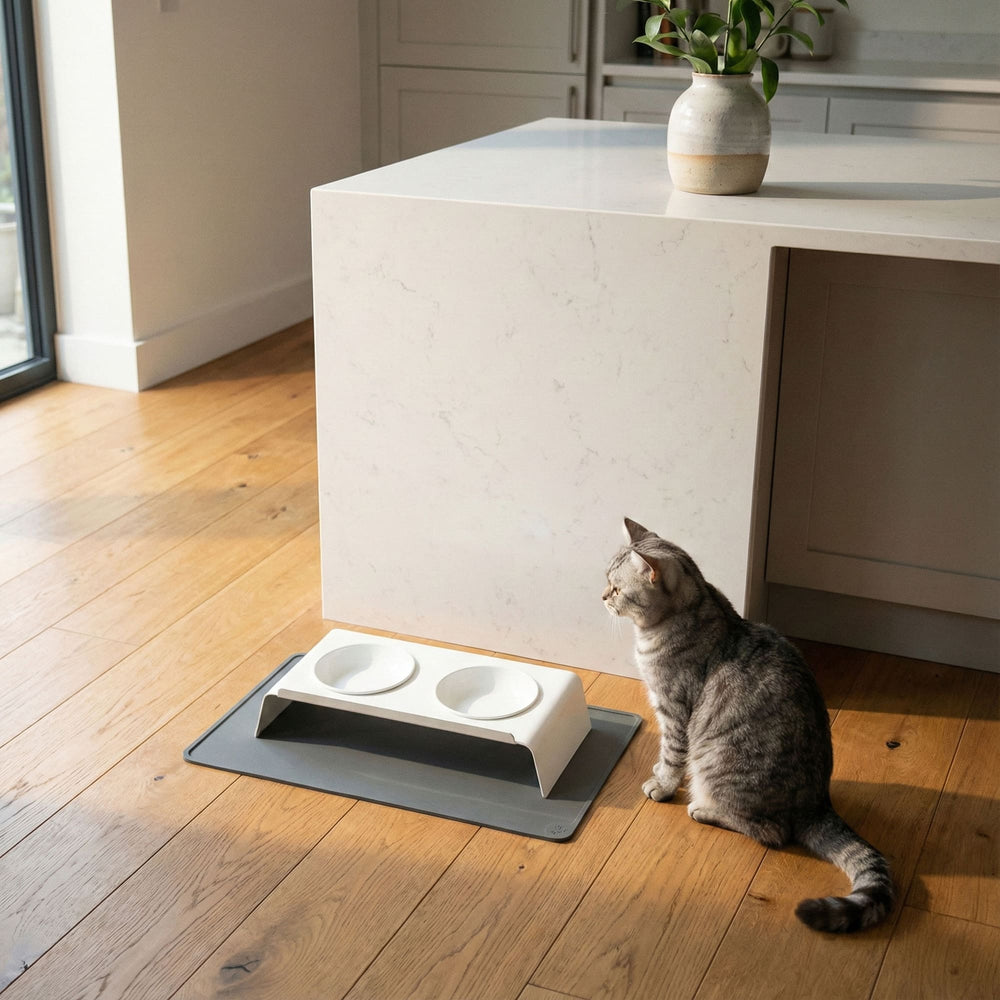 SQUARE onderlegger in antraciet, gestreepte kat zit naast het dubbele voederstation in de keuken