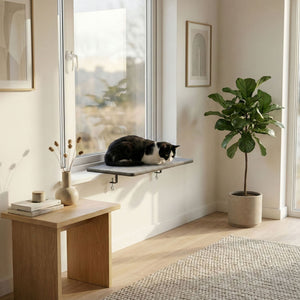 VIEW Cat Window Perch