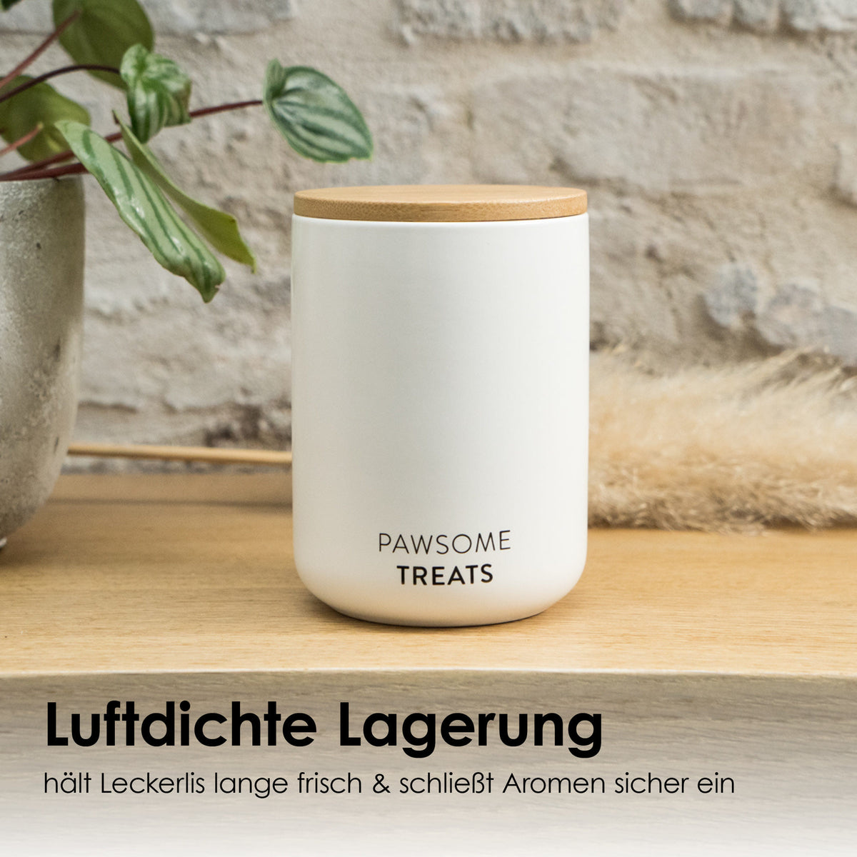 SNACK BAR Katzenfutter- &amp; Leckerlidose