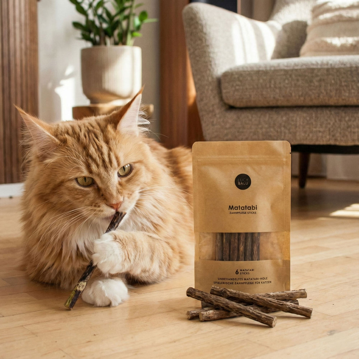 MATATABI STICKS Soin dentaire naturel