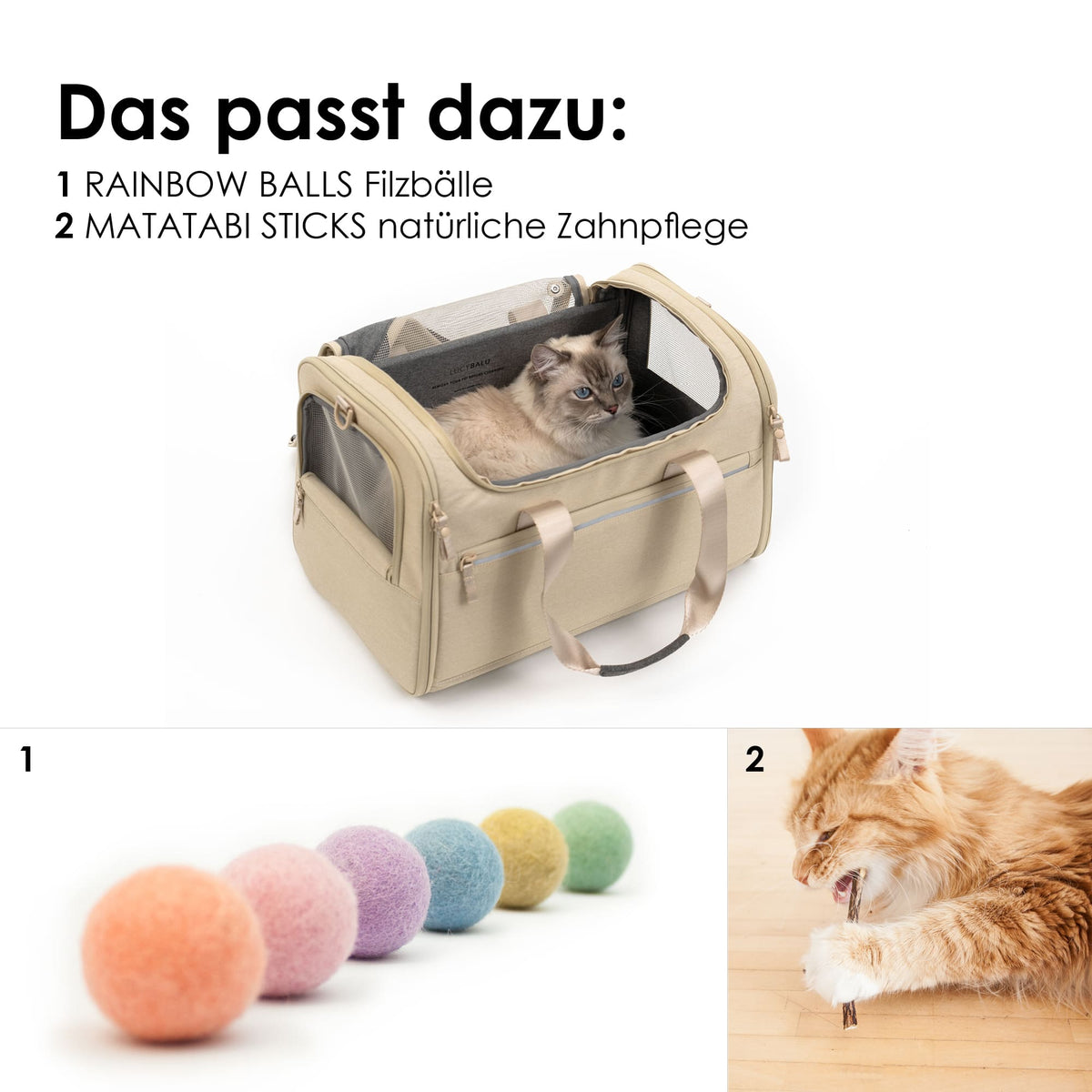 CHECK-IN Kattendraagtas