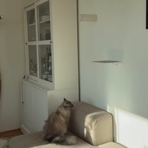 JUMPER scratching post