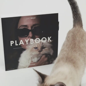 PLAYBOOK Interaktives Spielzeug Choupette Edition Produktvideo