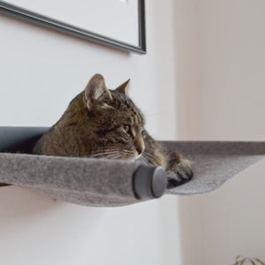 SWING Katzenhängematte Produktvideo quadratisch