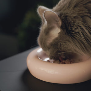 DROP cat bowl - Hello Kitty Edition