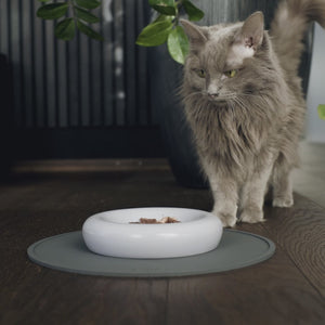 CIRCLE cat food place mat