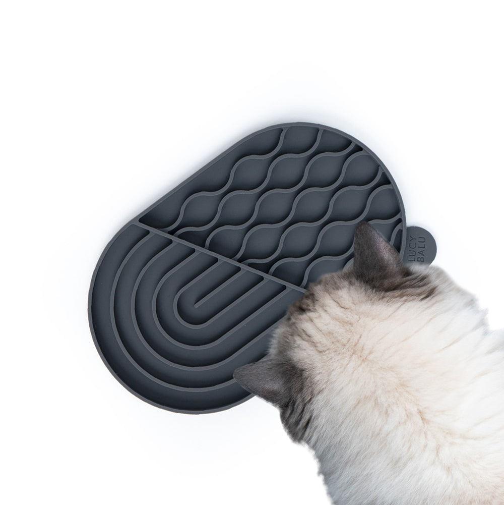 ZENPAD likmat in antraciet, Ragdoll kat likt genietend