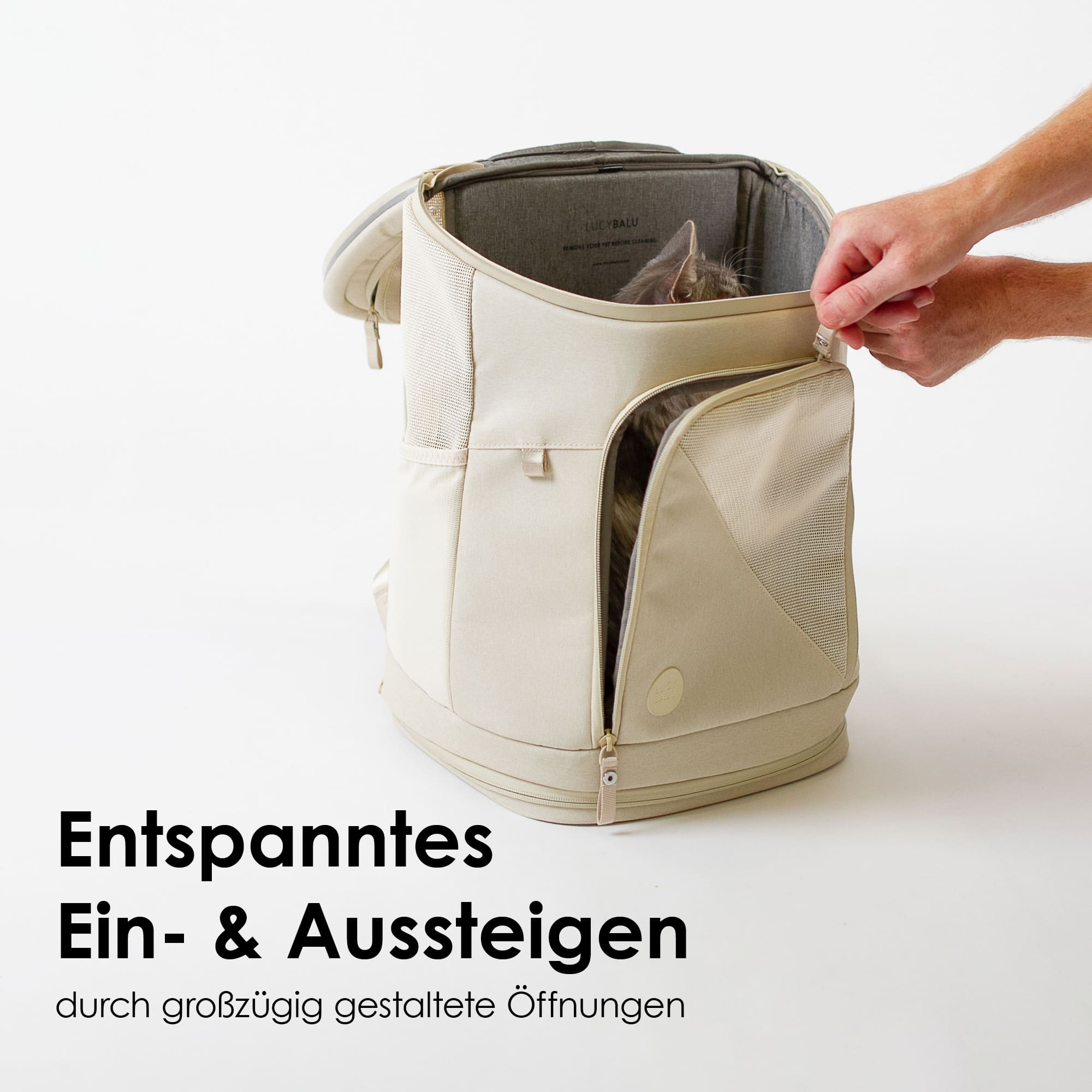 Ein- & Ausstieg beim Katzenrucksack