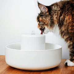Trinken