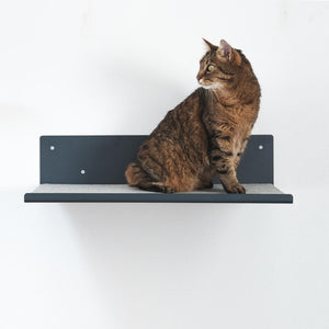 Wollfilz Auflage Straight Wandboard