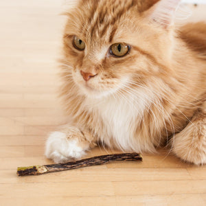 MATATABI STICKS - natürliche Zahnpflege - LucyBalu