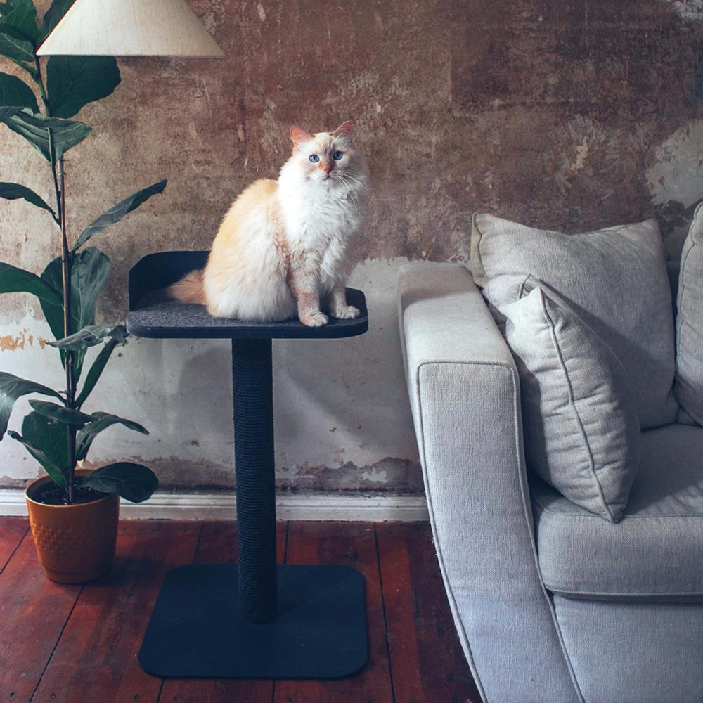 Arbre à chat PLATEAU en anthracite, un chat à poil long crème assis sur la plateforme dans le salon